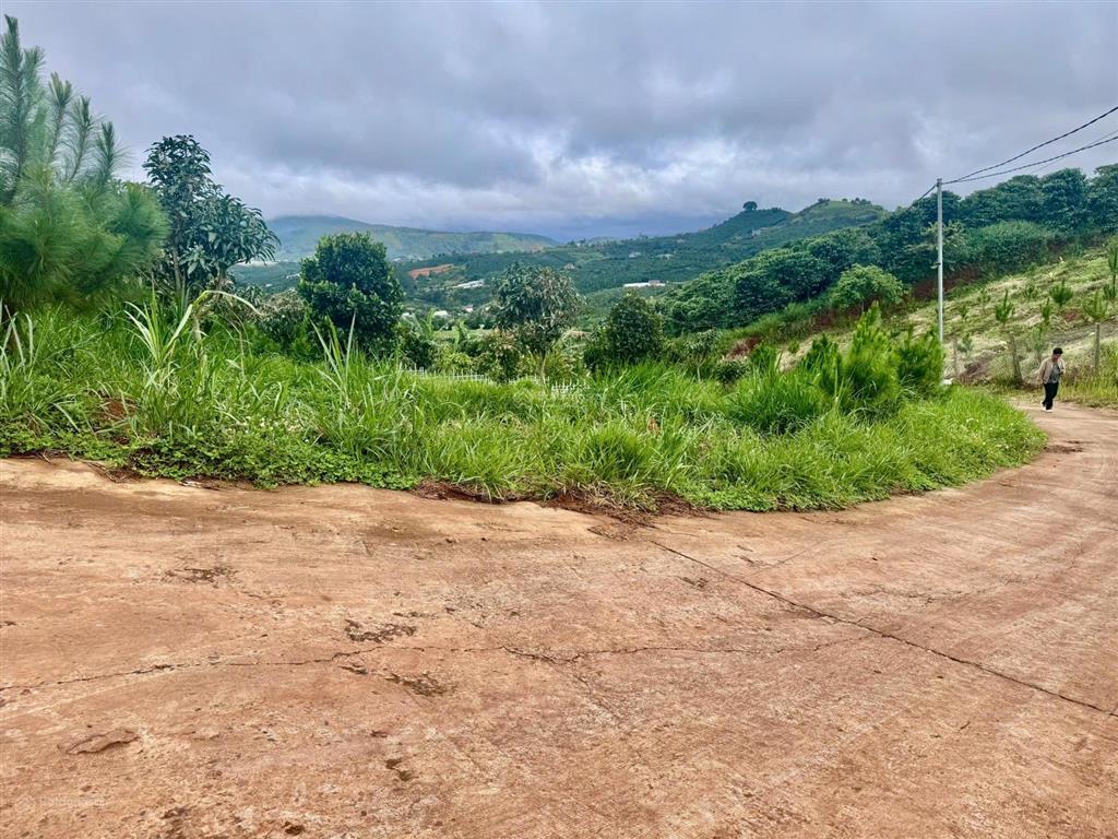 Cách chợ đà lạt 29km . chỉ 550 triệu / 317m2 sẵn thổ cư , view đẹp , đường ô tô