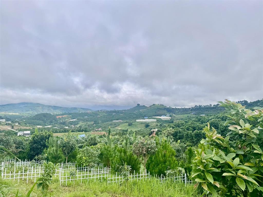 Cách chợ đà lạt 29km . chỉ 550 triệu / 317m2 sẵn thổ cư , view đẹp , đường ô tô
