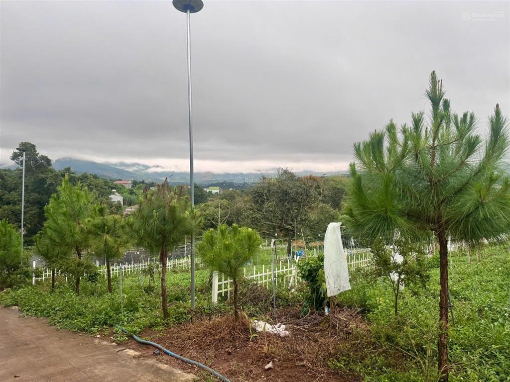 Bán 245m2 đất sẵn thổ cư gần chợ thăng long nam ban (900m)