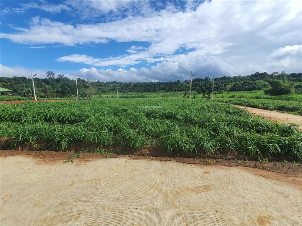 Đất gần trung tâm . chỉ 480 triệu . diện tích 205m2 , có sẵn 150m2 thổ cư . bám suối nước cam ly