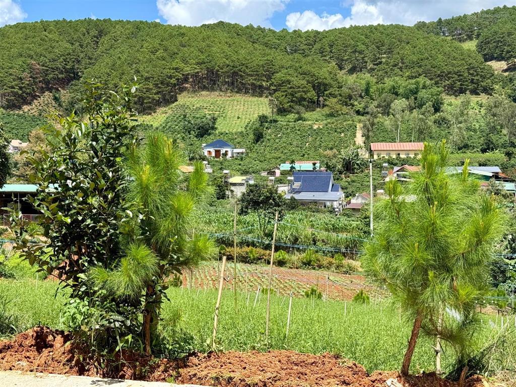 Bán lô đất trung tâm nam ban, gần cạnh kdl chùa linh ẩn