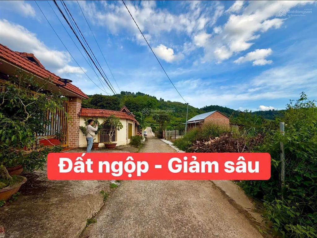 Chủ ngộp bán 597m2, mặt tiền rộng 12m. cách tỉnh lộ dt725 chỉ 100m
