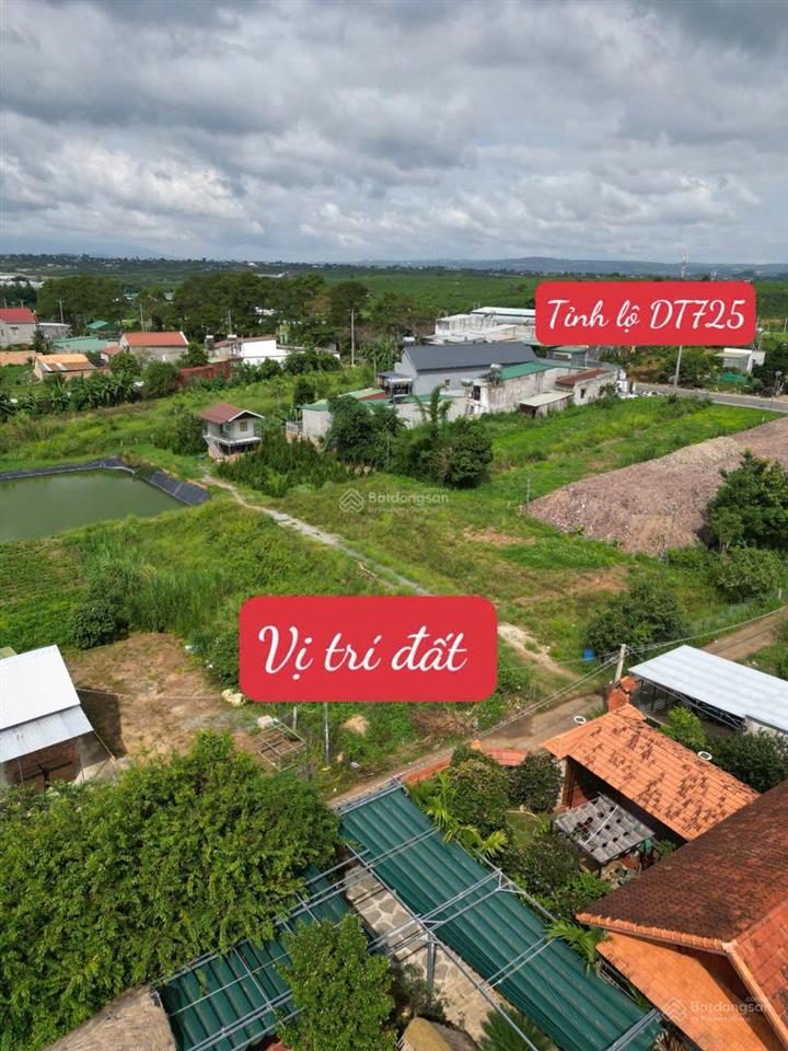 Chủ ngộp bán 597m2, mặt tiền rộng 12m. cách tỉnh lộ dt725 chỉ 100m