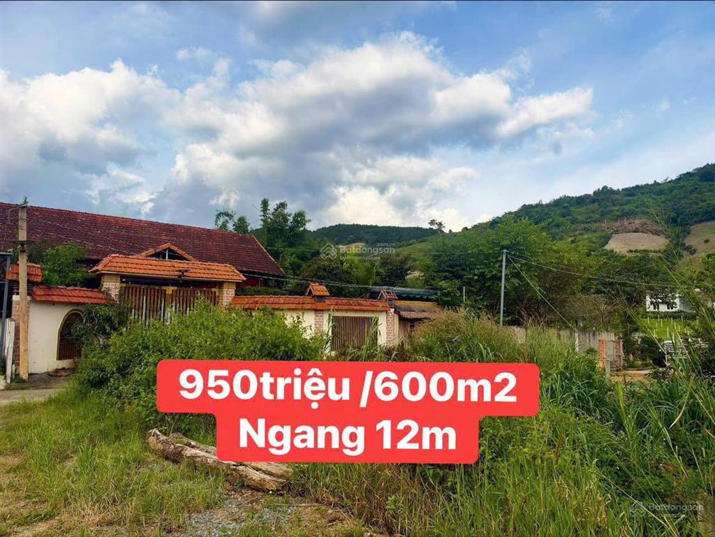 Chủ ngộp bán 597m2, mặt tiền rộng 12m. cách tỉnh lộ dt725 chỉ 100m