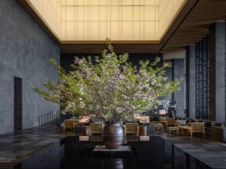Cho thuê 15 năm ks 4 sao tên aman kyoto hotel  89 phòng mặt tiền thi sách ngang 19m  3,5 tỷ/th