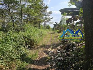 Bán đất hưng lộc thống nhất đồng nai 1.000m2 chỉ 1,3 tỷ