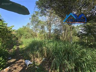 Bán đất hưng lộc thống nhất đồng nai 1.000m2 chỉ 1,3 tỷ