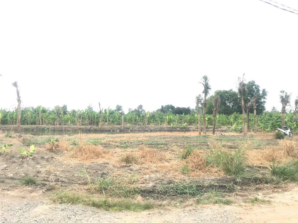 Cần bán gấp đất sông trầu trảng bom, 4.263m2 chỉ 3 tỷ