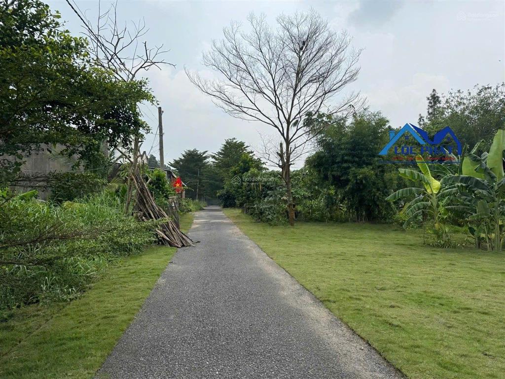 Bán đất an phước long thành cạnh kcn long đức và an phước 590m2 chỉ 4,5 tỷ