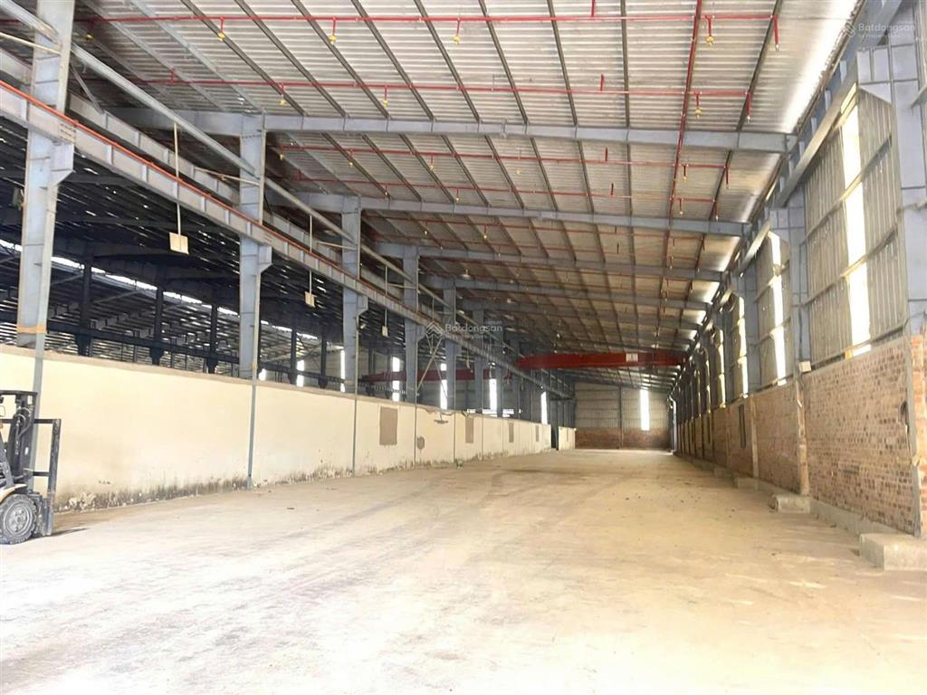 Cho thuê xưởng 30.000 m2 chỉ 1,3 tỷ/tháng