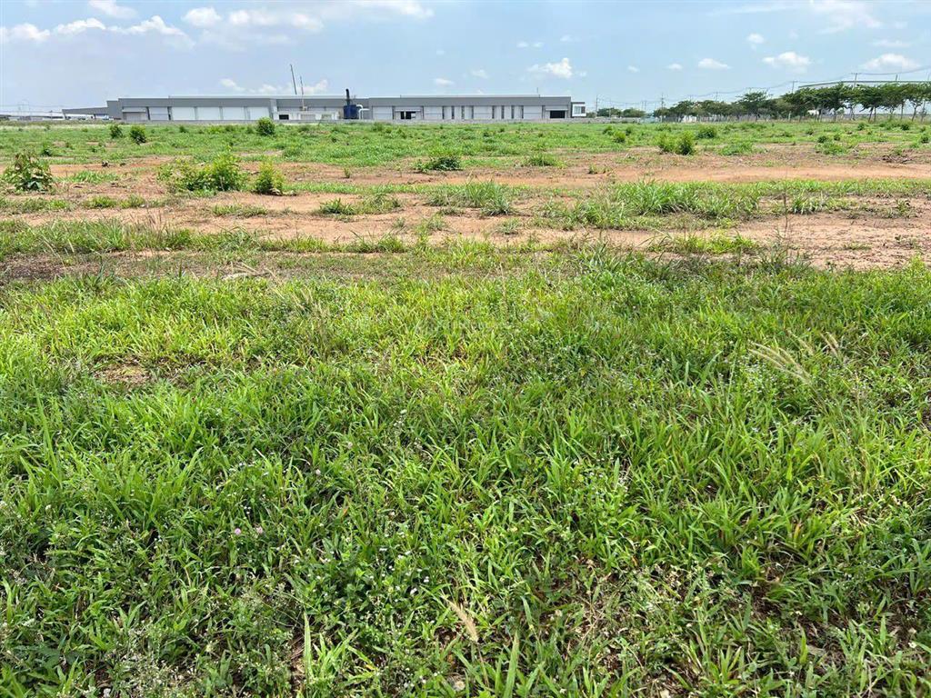 Bán đất kcn giang điền 30.501 m2 chỉ 170 usd/m2