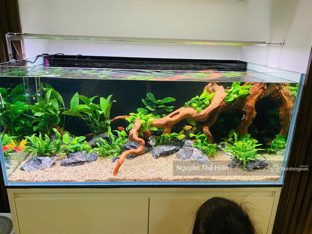 Siêu phẩm hiếmbán căn ct1c thông tấn xãdt 90m23n 2vs(2 ban công)giá 7.x tỷ(giá thương lượng)