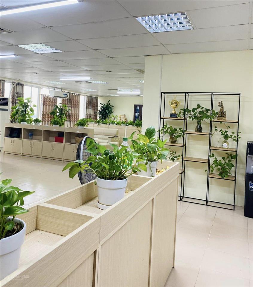 Cho thuê văn phòng giá tốt hải phòng