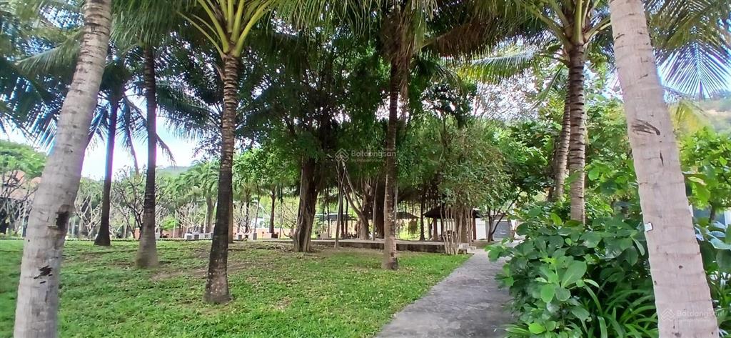 Cần bán 275m2 đất giáng hương villa chỉ 24tr/m nhiều cây xanh an ninh yên tĩnh nha trang