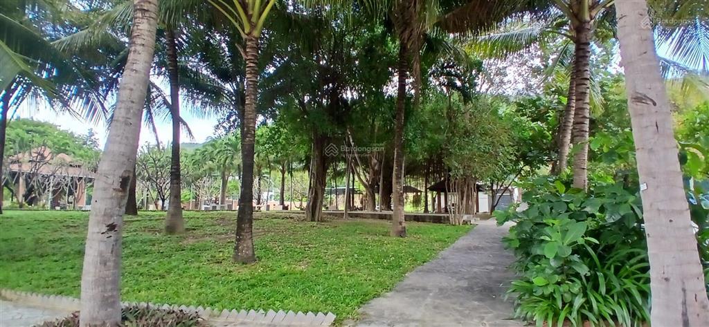 Cần bán 275m2 đất giáng hương villa chỉ 24tr/m nhiều cây xanh an ninh yên tĩnh nha trang