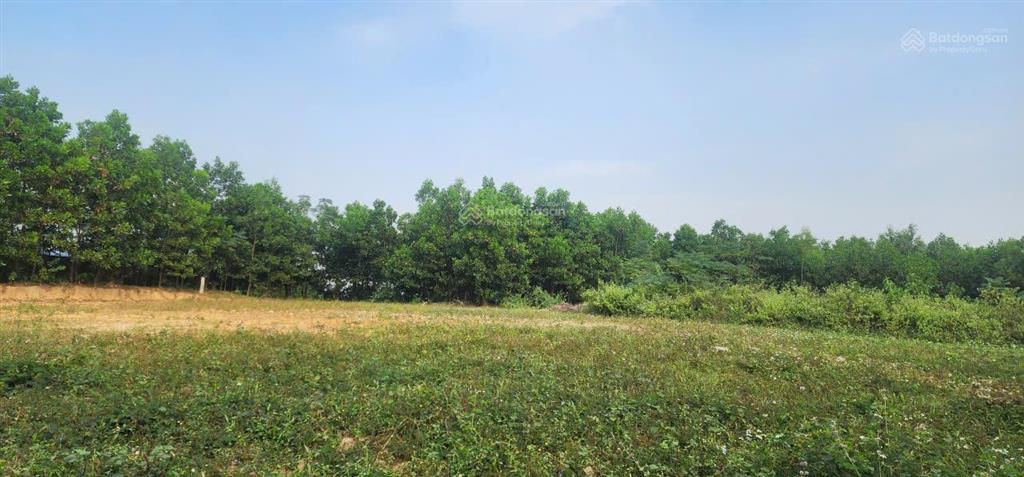 Chính chủ cần bán lô đất xã vạn phái  phổ yên  thái nguyên