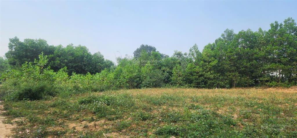 Chính chủ cần bán lô đất xã vạn phái  phổ yên  thái nguyên