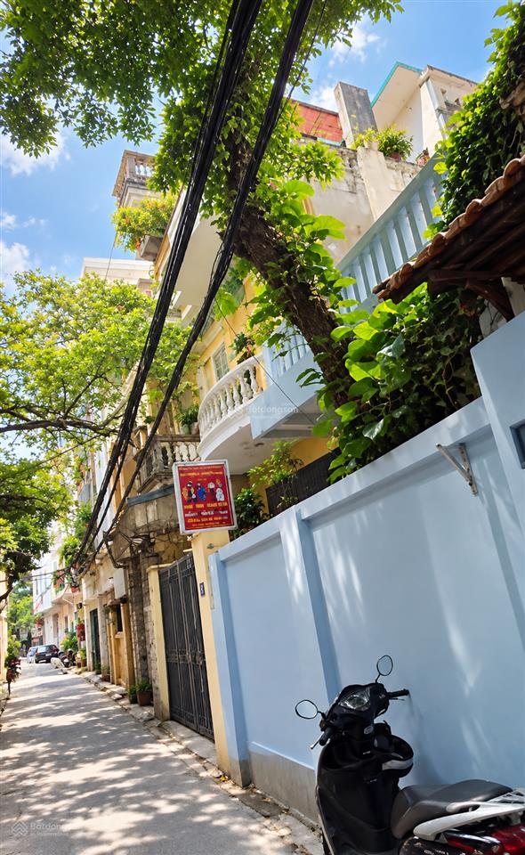 Đất đẹp quan hoa  ô tô  gần mặt phố  nở hậu  153m  mt 6,9m   giá bán 41 tỷ