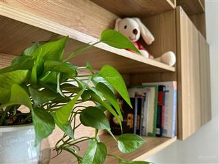 Bán căn góc chung cư topaz với view hồ bơi