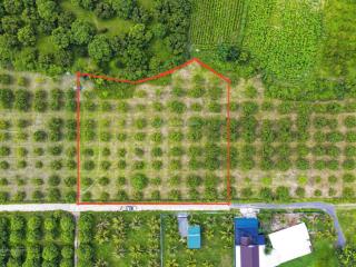 Bán đất suối tiên  diên khánh quy hoạch 3 mặt tiền. đường hiện trạng 6m. giá 700 nghìn/ m2