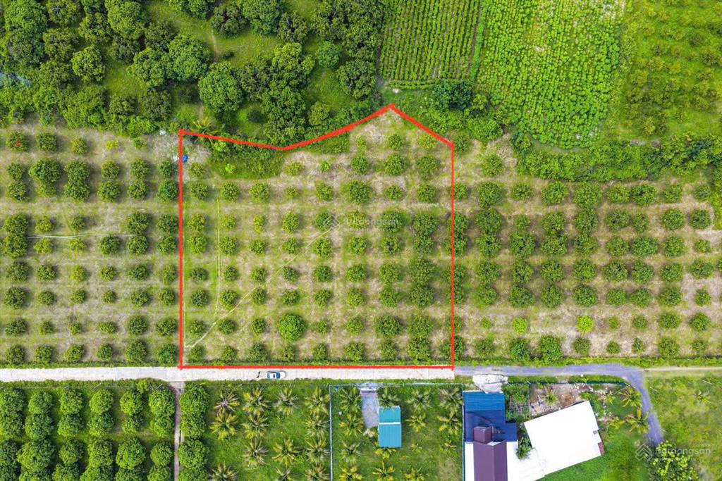 Bán đất suối hiệp. quy hoạch 3 mặt tiền giá chỉ 781 nghìn/ m2. đường ô tô rộng rãi