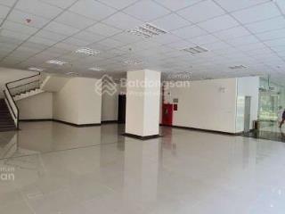 Cho thuê văn phòng t&t 120 định công, diện tích 255m², giá 234.873đ/m²/tháng