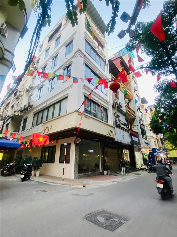 Duy nhất, bán nhanh nhà riêng phố nguyên hồng đường ô tô tránh, vỉa hè 72m2*4t*mt 7.2m, nhỉnh 30 tỷ