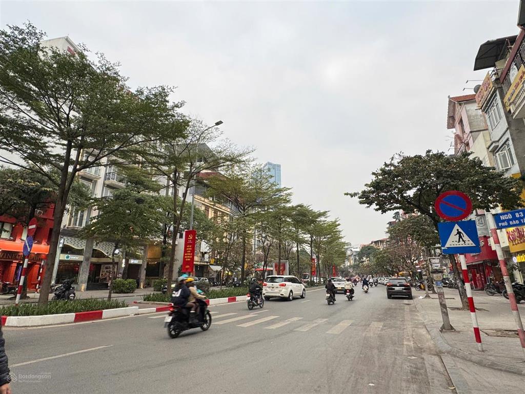 Giảm 8 tỷ, giá đầu tư bán nhà phố đào tấn sát lotte liễu giai 128m2*11m mt, thu 4 tỷ/năm. bán nhanh