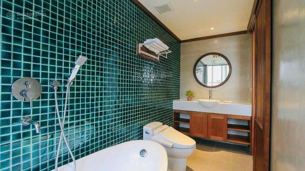Đẳng cấp doanh thu 500tr/th. bán tòa nhà apartment đào tấn, lotte liễu giai 220m2*12m mt