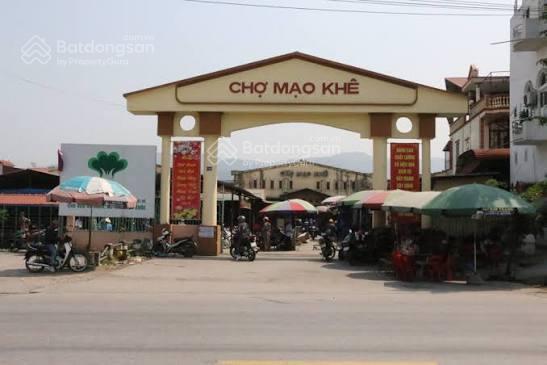 Bán đất nền 428m2, 54 triệu/m2 tại phường mạo khê, thị xã đông triều, quảng ninh