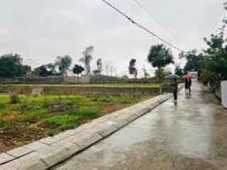 Bán đất tại mạo khê 298.6m2, cơ hội không thể bỏ lỡ