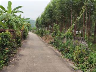 Bán đất tại bình khê, giá thỏa thuận, diện tích 2061 m2, view đẹp uy tín