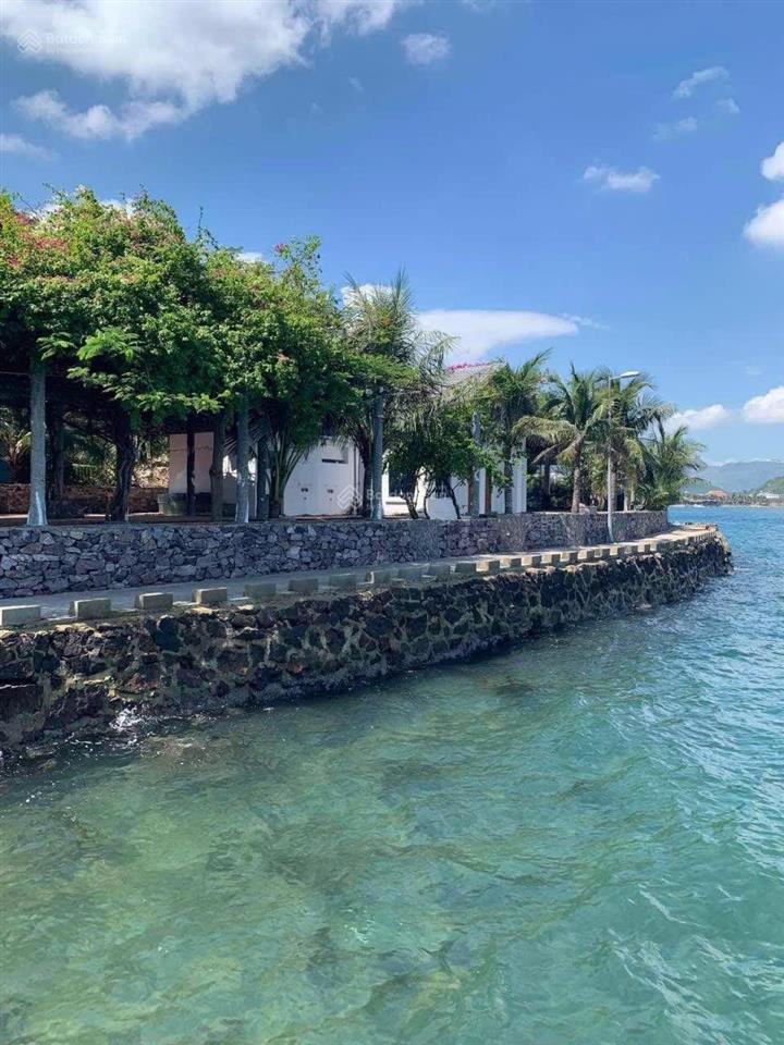 Bán đất mặt biển đảo trí nguyên nha trang | 3.327m2 cảng riêng giá 65 tỷ