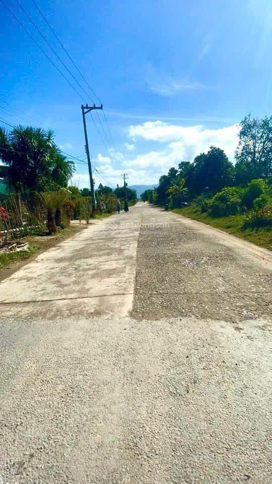 Đất suối tiên giá thấp dễ đầu tư, biên độ tăng giá cao