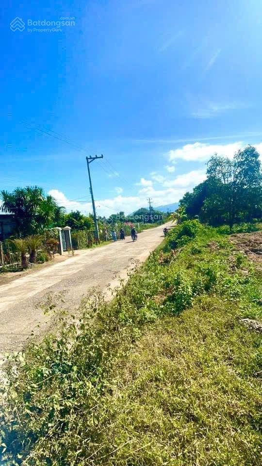 Đất suối tiên giá thấp dễ đầu tư, biên độ tăng giá cao