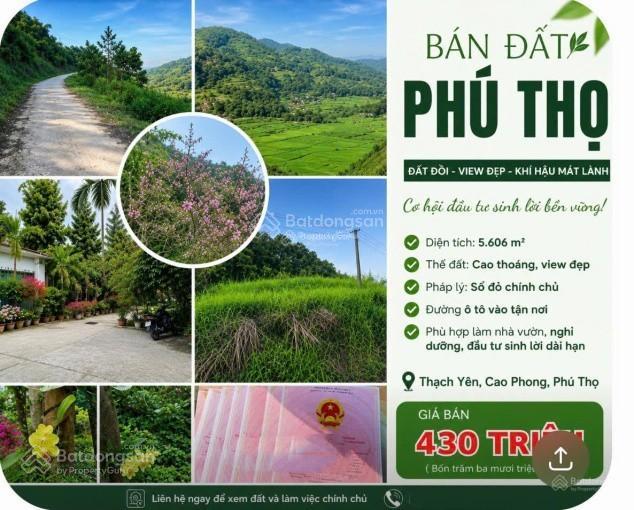 Đất đẹp phú thọ chỉ 430 triệu diện tích 5.606m sổ đỏ chính chủ