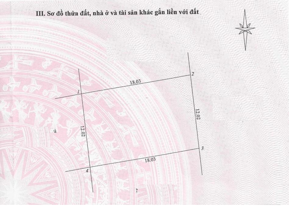 Bán đất biệt thự khu phố cây thông ngoài 216m2 hàng hiếm giá tốt chỉ 2,5 tỷ