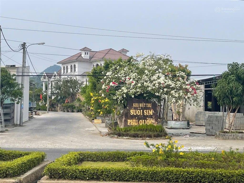 Bán đất biệt thự khu phố cây thông ngoài 216m2 hàng hiếm giá tốt chỉ 2,5 tỷ