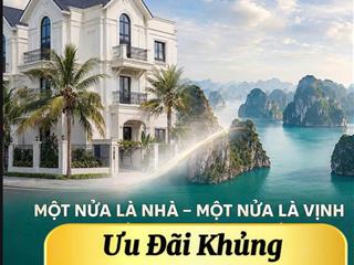 Bán liền kề tại vinhomes hạ long xanh, quảng ninh, nằm trên đường 30m kinh doanh sầm uất