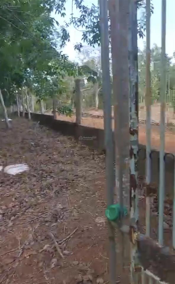 Bán gấp 3,6 ha đất vườn cao su  xuân tâm, xuân lộc, đồng nai