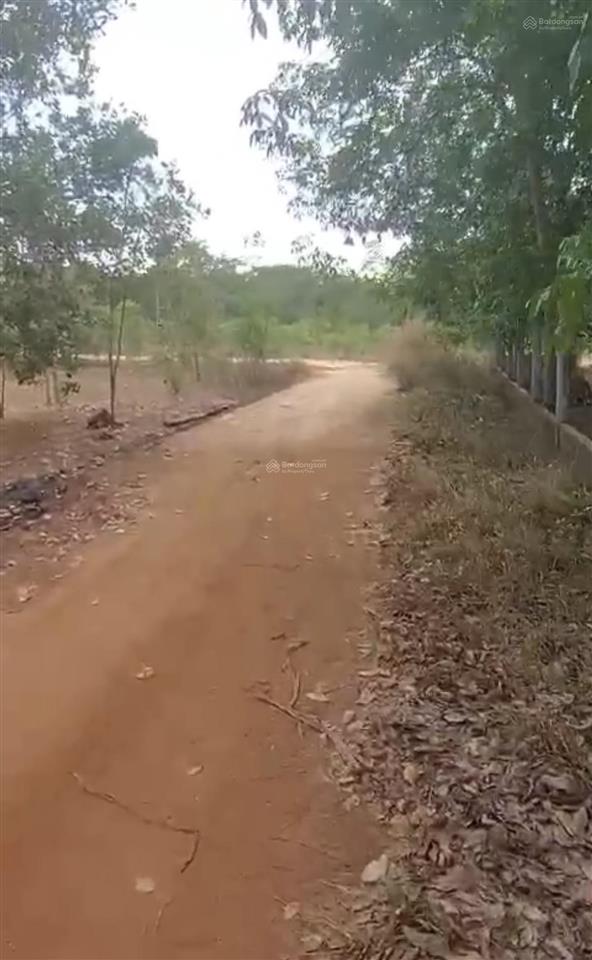 Bán gấp 3,6 ha đất vườn cao su  xuân tâm, xuân lộc, đồng nai
