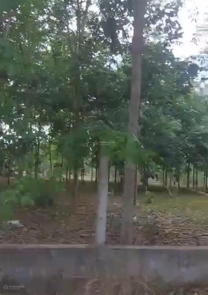 Bán gấp 3,6 ha đất vườn cao su  xuân tâm, xuân lộc, đồng nai
