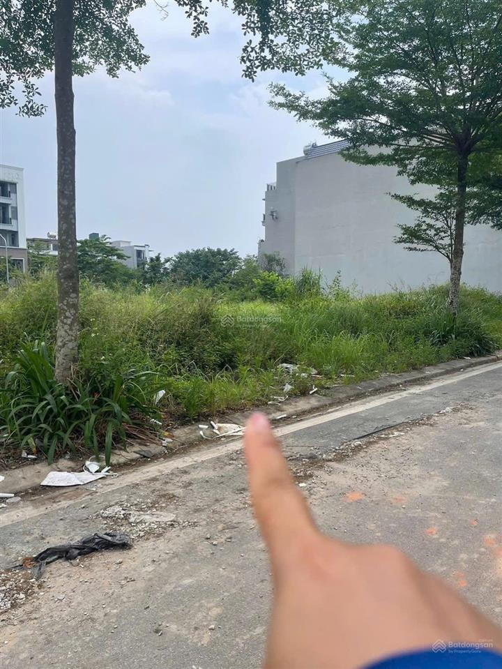 Chính chủ gửi bán 90m đất dịch vụ tms 90m đất dịch vụ tms xây tự do pháp lý chuẩn dân c