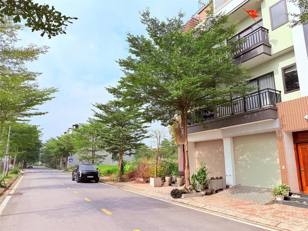 Chính chủ gửi bán căn liền kề khu đô thị tms phúc yên diện tích 75m/căn hướng đông nam