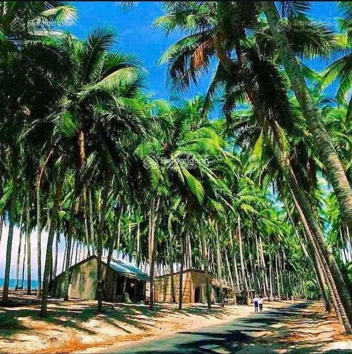 Bán villa hai tầng ở bàu me, thiện nghiệp.  0974 090 ***