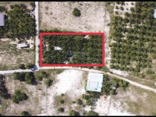 Bán 1000m² vườn dừa thổ cư có sẵn nhà, tường, hồ nước