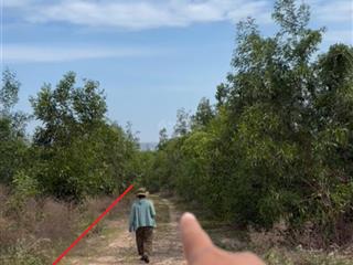 Bán 4700m2 đường bàu me/ trần hữu xoàng kéo dài, mặt tiền 53m  giá 400k/m2.  0974 090 ***