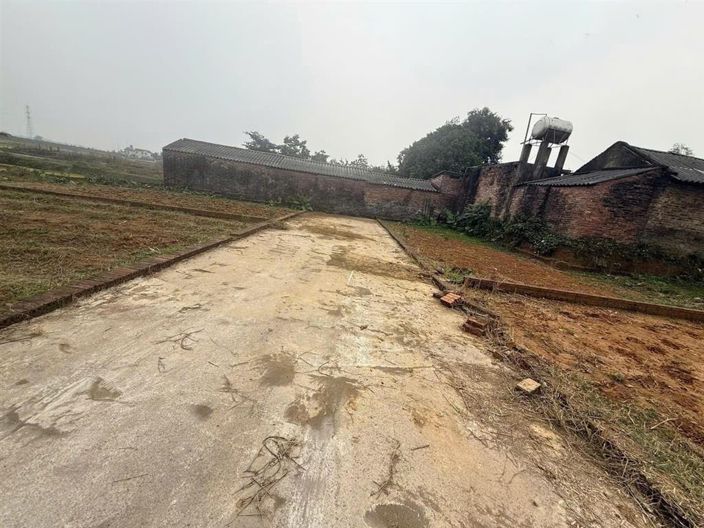 GIÁ CHỈ CÓ 7,2 TR CHO MỘT MẾT VUÔNG -- DT 105 M FUN THỔ CƯ TÍNH RA  CHỈ CÓ HƠN 700 TR