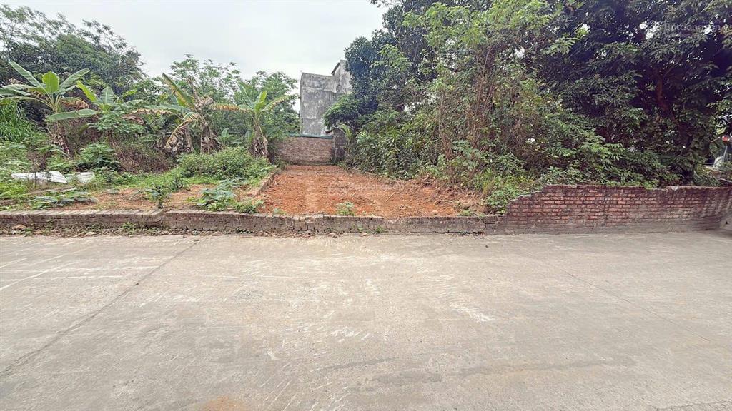 **bán đất đẹp  trục chính kinh doanh nhỏ lẻ**