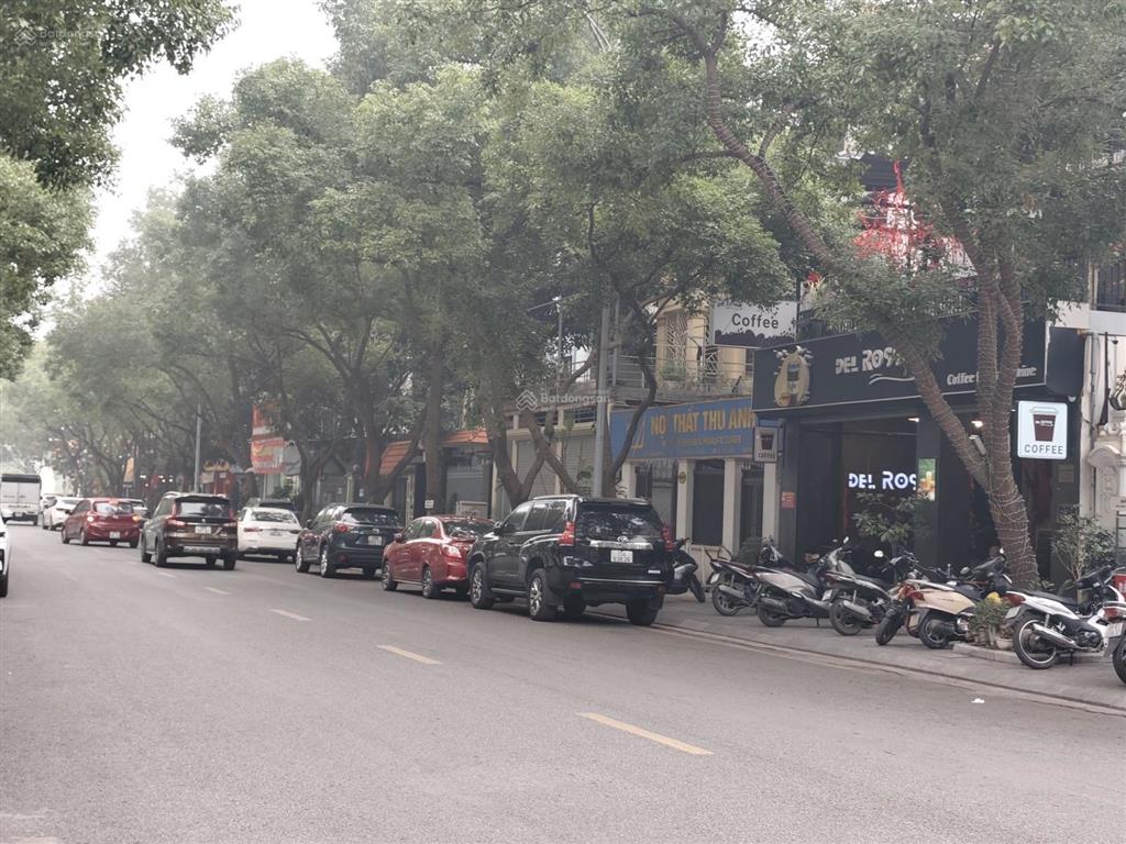 Bán đất khu biệt thự việt hưng long biên 175m2 52 tỷ mt 10m kd vỉa hè gần phòng thuế long biên